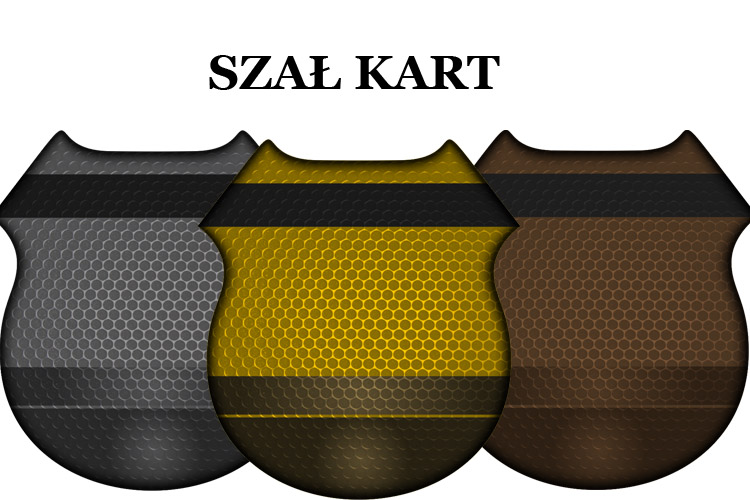 Laureaci “Szał Kart”